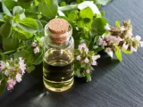 Exploring the Health Benefits of Oil of Oregano: A Comprehensive Review