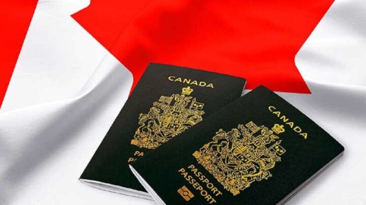 The Ultimate Guide to Choosing the Right Canada Visa Consultant
