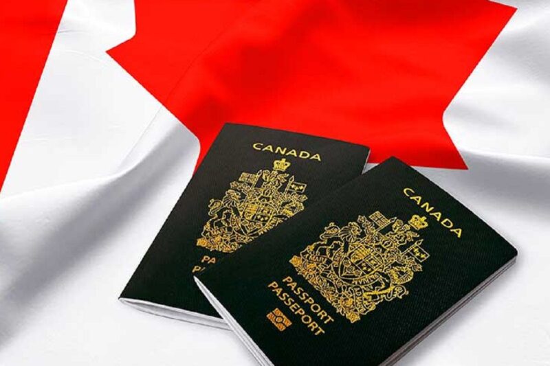 Da Illest Guide ta Choosin tha Right Canada Visa Consultant